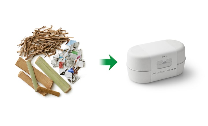 Image of natural packaging materials on the left and Sony’s packaging on the right.