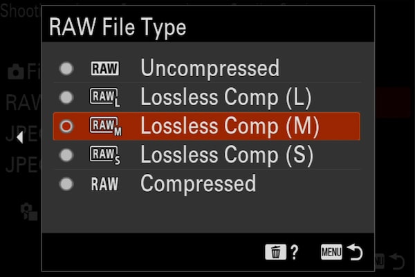 Product image showing “RAW file type” camera menu with “Lossless Comp (M)” selected