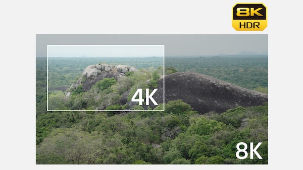 Illustration of image oversampling from 8k to 4k with cropping